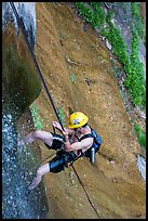 Man rappeling along waterfall. Zion National Park, Utah ( color)