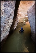 Woman standing in waist-high pool in Pine Creek Canyon. Zion National Park, Utah ( color)