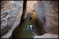 Canyoneers swim in Pine Creek Canyon. Zion National Park, Utah ( color)