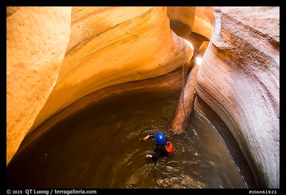 Canyoneer swims in pool with golden light, Pine Creek Canyon. Zion National Park, Utah (color)