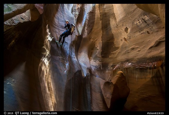 Woman rappels into chamber known as The Cathedral, Pine Creek Canyon. Zion National Park, Utah (color)