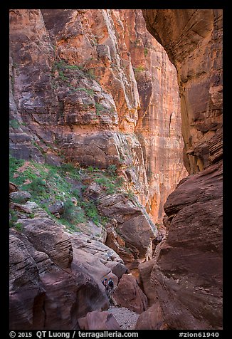 Hikers dwarfed by canyon walls, Pine Creek Canyon. Zion National Park, Utah (color)