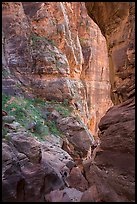 Hikers dwarfed by canyon walls, Pine Creek Canyon. Zion National Park, Utah ( color)
