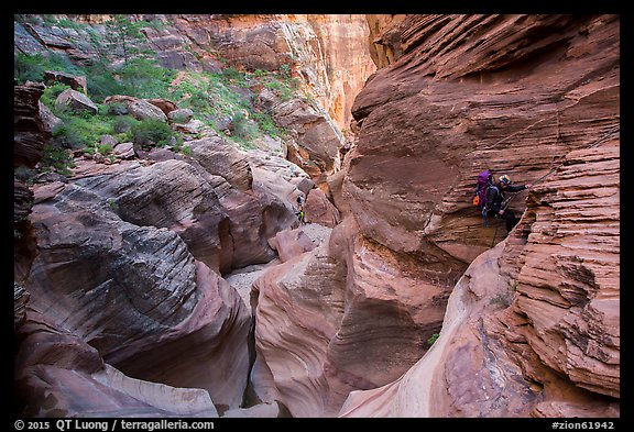 Canyoneers rappels in open section of Pine Creek Canyon. Zion National Park, Utah (color)