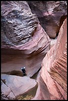 View from above of hiker walking in Pine Creek Canyon. Zion National Park, Utah ( color)