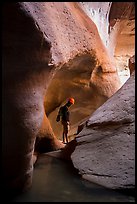 Man between glowing canyon walls, Pine Creek Canyon. Zion National Park, Utah ( color)