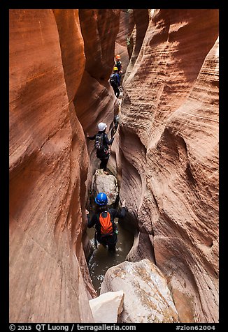 Hikers in Keyhole Canyon narrows. Zion National Park, Utah (color)