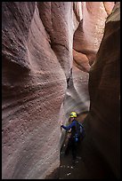 Hiker wading in the narrows of Keyhole Canyon. Zion National Park, Utah ( color)