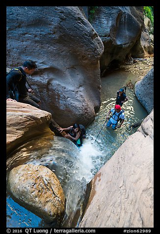 Hiker using log to descend along waterfall, Orderville Canyon. Zion National Park, Utah (color)