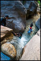 Hiker using log to descend along waterfall, Orderville Canyon. Zion National Park, Utah ( color)