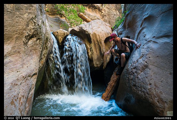 Hiker downclimbs on log along waterfall, Orderville Canyon. Zion National Park, Utah (color)