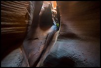 Canyoneer coiling ropes in the distance, Keyhole Canyon. Zion National Park, Utah ( color)