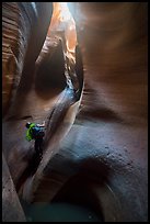 Canyoneer rappels deeps inside Keyhole Canyon. Zion National Park, Utah ( color)