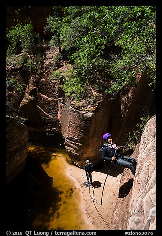 Rappel along cliff, Upper Left Fork. Zion National Park (color)