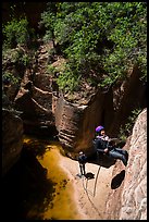 Rappel along cliff, Upper Left Fork. Zion National Park, Utah ( color)