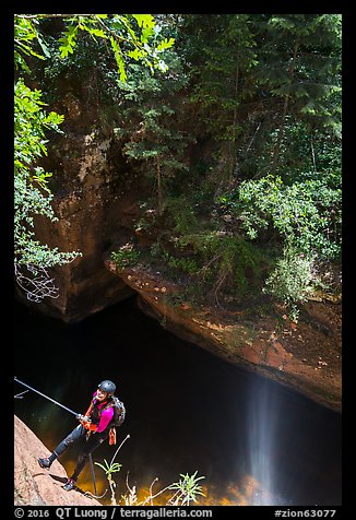 Canyoneer rappelling in open section, Upper Left Fork. Zion National Park, Utah (color)