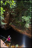 Canyoneer rappelling in open section, Upper Left Fork. Zion National Park, Utah ( color)