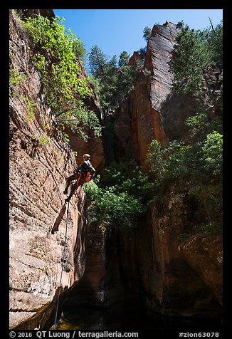 Canyoneer rappels in open section of Upper Left Fork. Zion National Park, Utah (color)