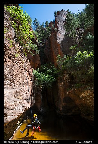 Canyoneer about to land in pool in open section of Das Boot. Zion National Park (color)