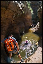 Hikers swim across pool, Left Fork. Zion National Park, Utah ( color)