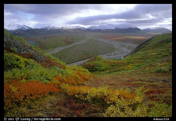 Tundra, braided rivers, Alaska Range at Polychrome Pass. Denali National Park, Alaska, USA.