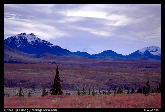 Alaska Range at dusk from near Savage River. Denali National Park, Alaska, USA.