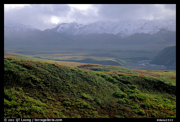 Tundra and Alaska Range near Sable pass. Denali National Park (color)