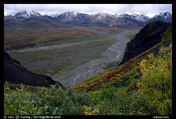 Tundra, wide valley with rivers, Alaska Range in the evening from Polychrome Pass. Denali National Park, Alaska, USA.