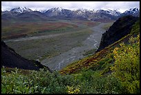 Tundra, wide valley with rivers, Alaska Range in the evening from Polychrome Pass. Denali National Park, Alaska, USA.