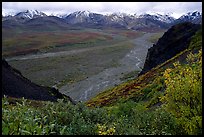 Pictures of Braided Rivers