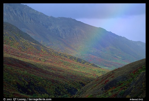 Rainbow and mountains near Sable Pass. Denali National Park, Alaska, USA.