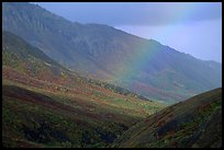 Rainbow and mountains near Sable Pass. Denali National Park, Alaska, USA.