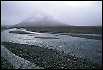 Gravel bars of the Toklat River. Denali National Park ( color)