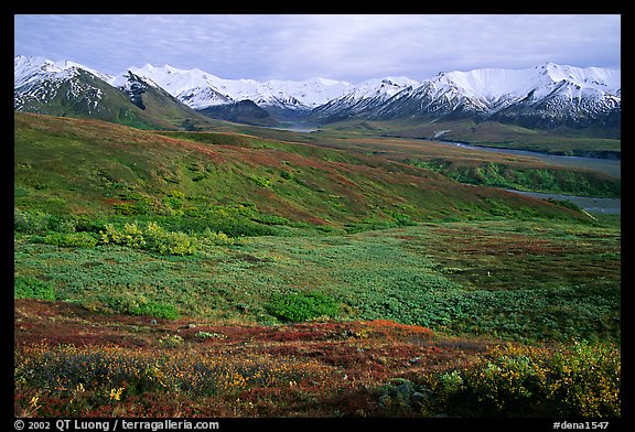 Tundra and Alaska Range near Eielson. Denali National Park (color)