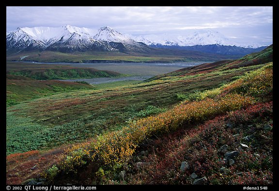 Tundra, Alaska Range, and Denali near Eielson. Denali National Park (color)