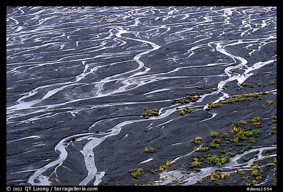 Braids of the Mc Kinley River near Eielson. Denali National Park, Alaska, USA.