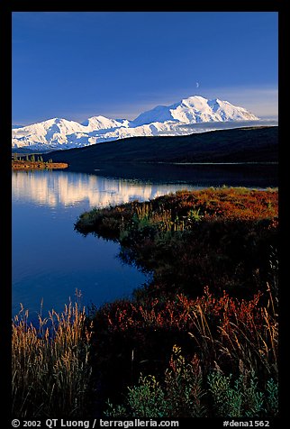Mt Mc Kinley above Wonder Lake, evening. Denali National Park, Alaska, USA.