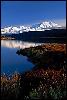 Mt Mc Kinley above Wonder Lake, evening. Denali National Park, Alaska, USA.