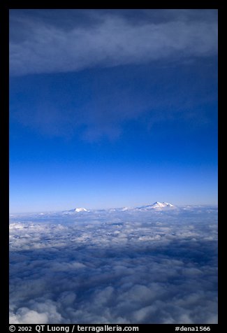 Mt Foraker and Mt Mc Kinley emerge from  sea of clouds. Denali National Park, Alaska, USA.