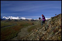 Photographer at Polychrome Pass. Denali National Park ( color)