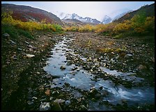 Creek near Polychrome Pass. Denali National Park, Alaska, USA.