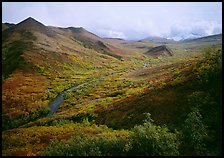 Gentle valley and river with low vegetation. Denali  National Park ( color)