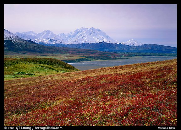 Tundra and Mt Mc Kinley from  Eielson. Denali  National Park (color)