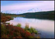 Wonder Lake and Mt McKinley at dusk. Denali National Park ( color)