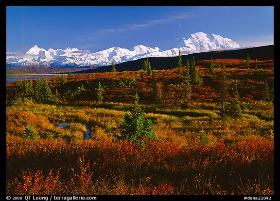 Tundra and Mt McKinley range, late afternoon light. Denali  National Park (color)