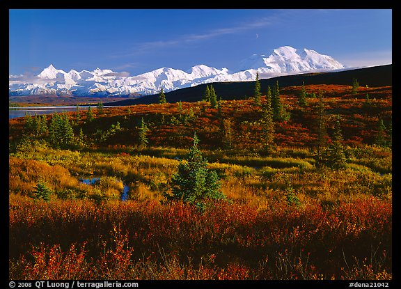 Tundra and Mt McKinley range, late afternoon light. Denali National Park, Alaska, USA.