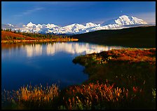 Mt Mc Kinley above Wonder Lake, evening. Denali National Park, Alaska, USA.