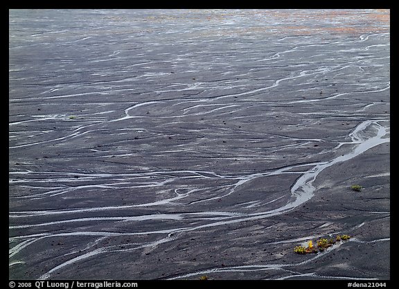 Braids of the McKinley River on sand bar near Eielson. Denali National Park, Alaska, USA.