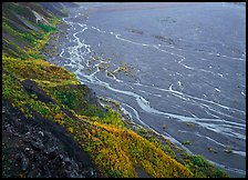 Aspen trees bordering immense sand bar valley with braids of the McKinley River. Denali National Park, Alaska, USA. (color)