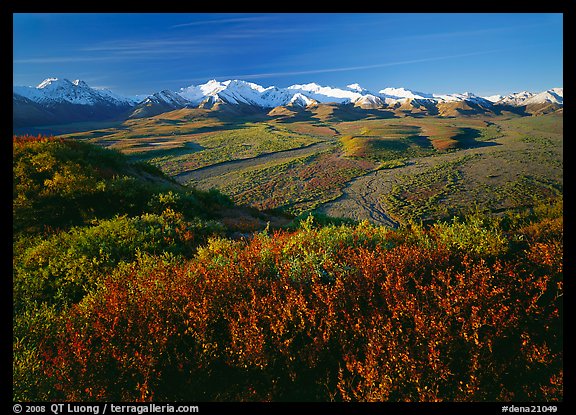 Alaska Range, braided rivers, and shrubs from Polychrome Pass, morning. Denali  National Park (color)